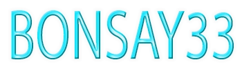 BONSAY33